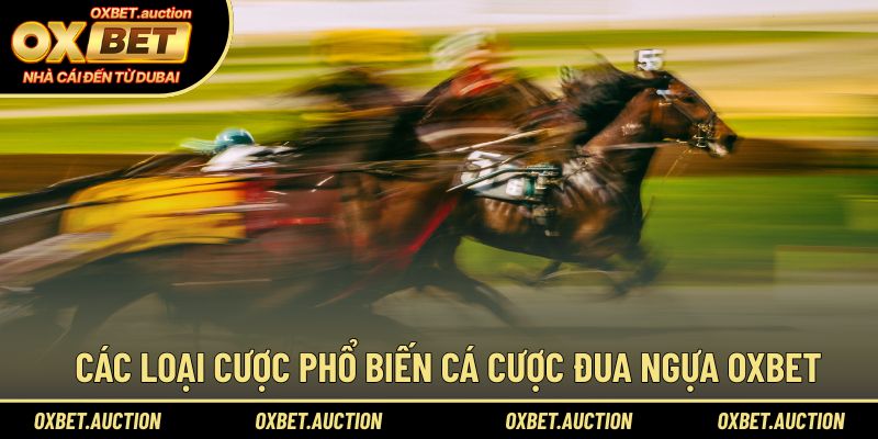 Các loại cược phổ biến trong cá cược đua ngựa OXBET