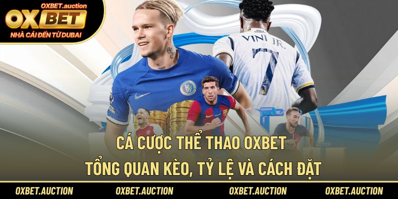 Cá cược thể thao OXBET