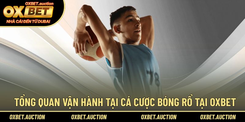Tổng quan vận hành tại cá cược bóng rổ tại OXBET