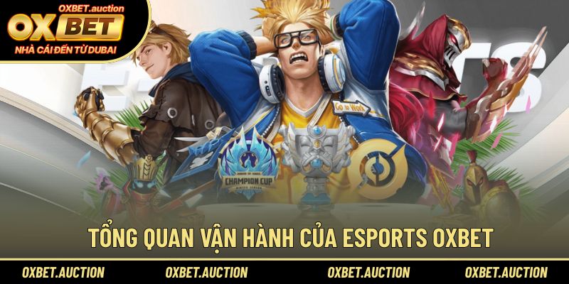 Tổng quan vận hành của Esports OXBET