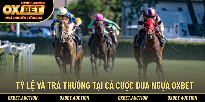 Tỷ lệ và trả thưởng tại cá cược đua ngựa OXBET